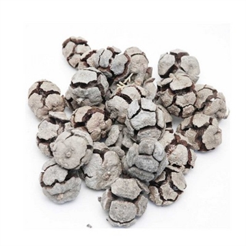 Cypres Kogle hvidvasket 1 kg.